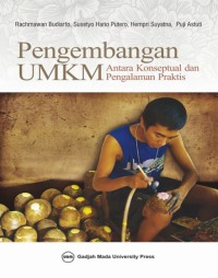Image of Pengembangan UMKM : Antara Konseptual dan Pengalaman Praktis